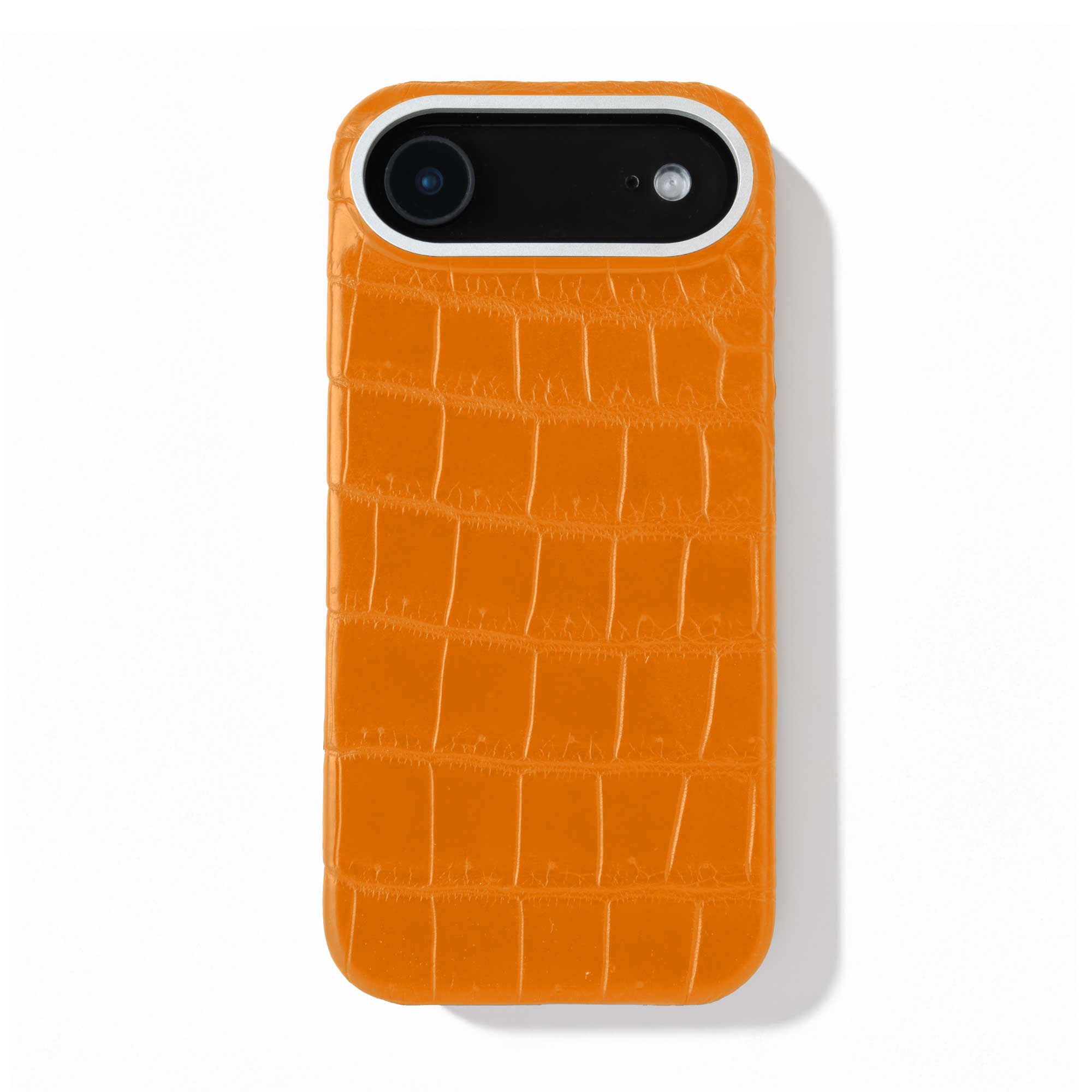 Coque cuir  pour iPhone 17 Air - Alligator / Himalaya