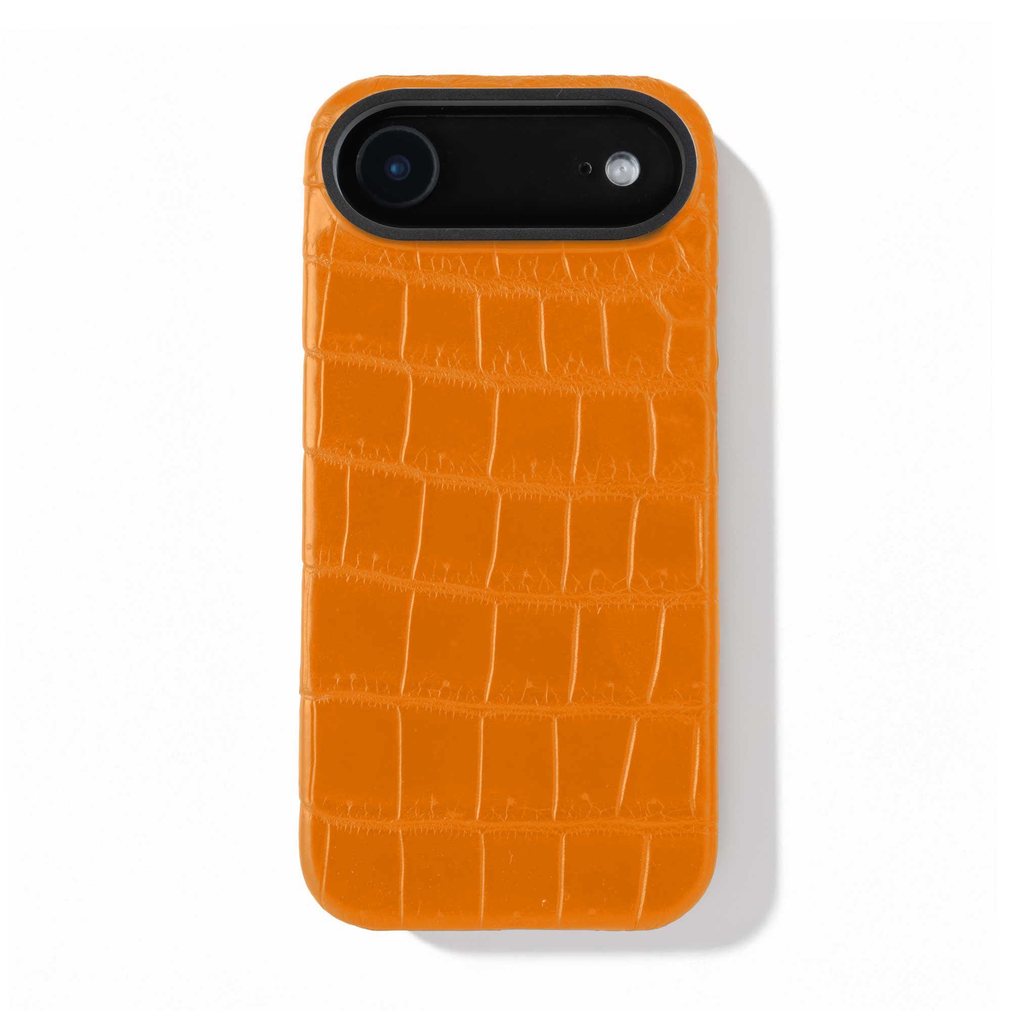 Coque cuir  pour iPhone 17 Air - Alligator / Himalaya