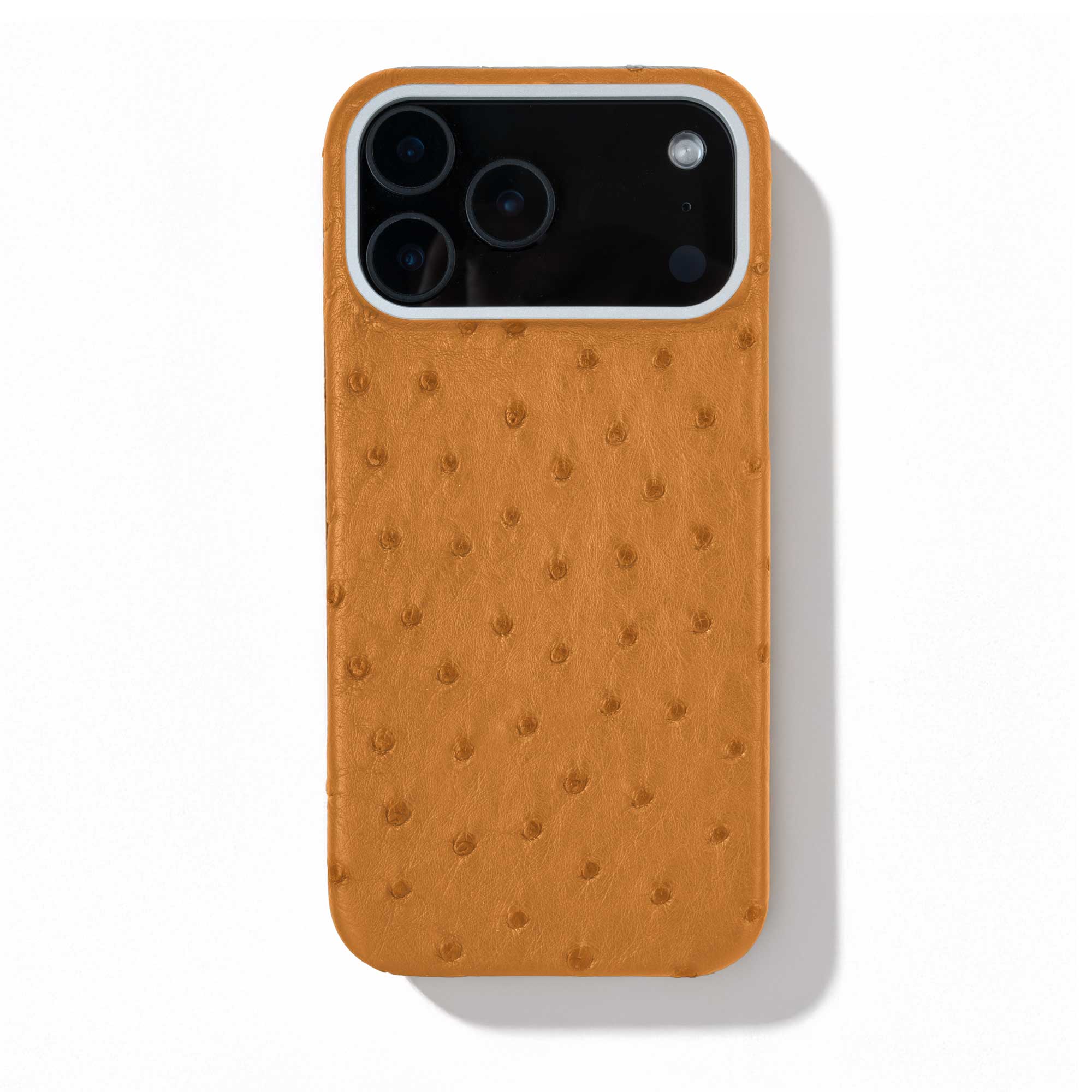 Coque cuir  pour iPhone 17 Pro / Pro Max - Autruche