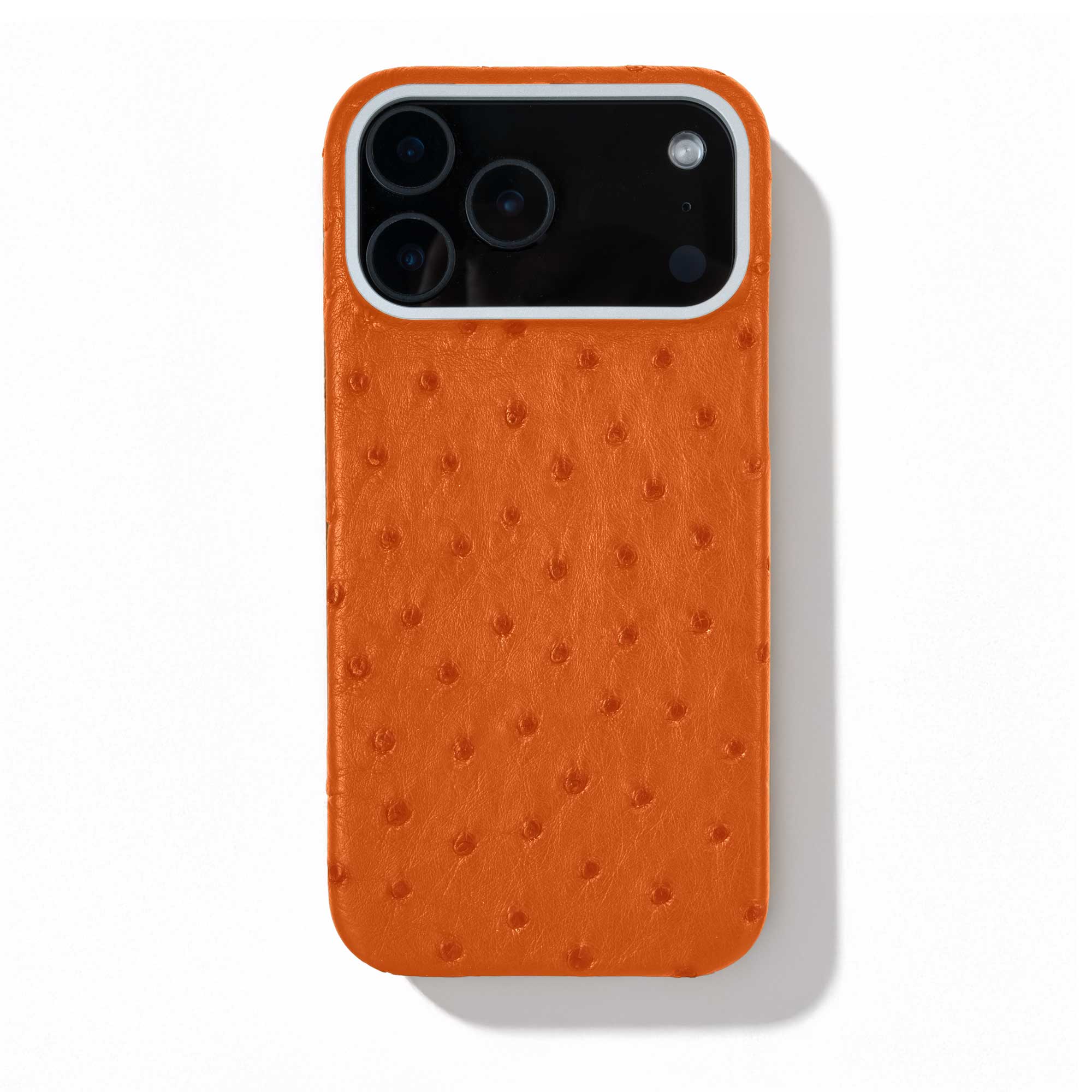 Coque cuir  pour iPhone 17 Pro / Pro Max - Autruche